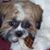 Diane Allerton's profile image
