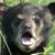 Cherie Gardner's profile image