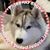Lana Ridley Dorn's profile image