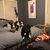 Sibley Biederman's profile image