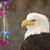 Gordon Barth's profile image