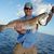 Steve Marshall's profile image