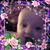 Tracy Pitt's profile image