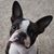Kim Stevens Dexter's profile image