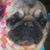 Donna Ramirez's profile image