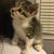 Susan Klos's profile image