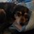 Lisa Geller Roberts's profile image