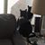 Lisa Duane West's profile image