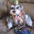 Martha Loggins's profile image