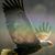 John T. Lewis's profile image