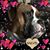 Sheri Hoover Hadley's profile image