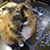 Emily Valek's profile image