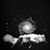 Shelly Spence-Kansteiner's profile image