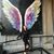 Chantelle Lane's profile image