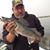 David Pappy Papenfuss's profile image