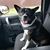Helena Kautz-Chandler's profile image