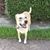 Hershey Griffin's profile image