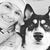 Anna Buckwalter-Bingham's profile image
