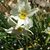 Donna Conatser's profile image