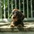 Cathy Vensel Westbrook's profile image