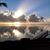 Amy Hulsey's profile image