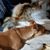 Melissa Pumphrey Jeng's profile image