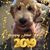 Stacey Jones's profile image