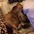 Susan Marchiafava's profile image