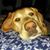 Belinda Hebert Broome's profile image
