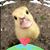 Carol Clifford Garrity's profile image