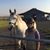 Trish Gallagher Niemi's profile image