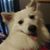 Tammie Sowell Valdes's profile image