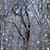 Aury Violeta's profile image