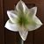 Kim Colgrove's profile image