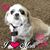 Pearl Kowalik's profile image