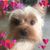 Donna C. Fender's profile image