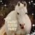 Shellye Katz McCarty's profile image