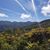 Deborah Rentz's profile image