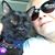 Cynthia Lanning Hampton's profile image