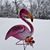 Barb Roling Kliethermes's profile image