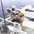 Darcie Newell Anderson's profile image