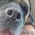 Mike Gaebelein's profile image