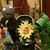 Glenda Dailey's profile image