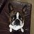 Lise Chartier Swacha's profile image