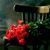 Kathy Bouchez's profile image