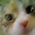 Sandra Facon's profile image