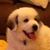 Stephanie Spencer Boyd's profile image