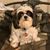 Dixie White Leikach's profile image