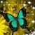 Michelle Smith's profile image