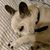Kimberley Miller's profile image